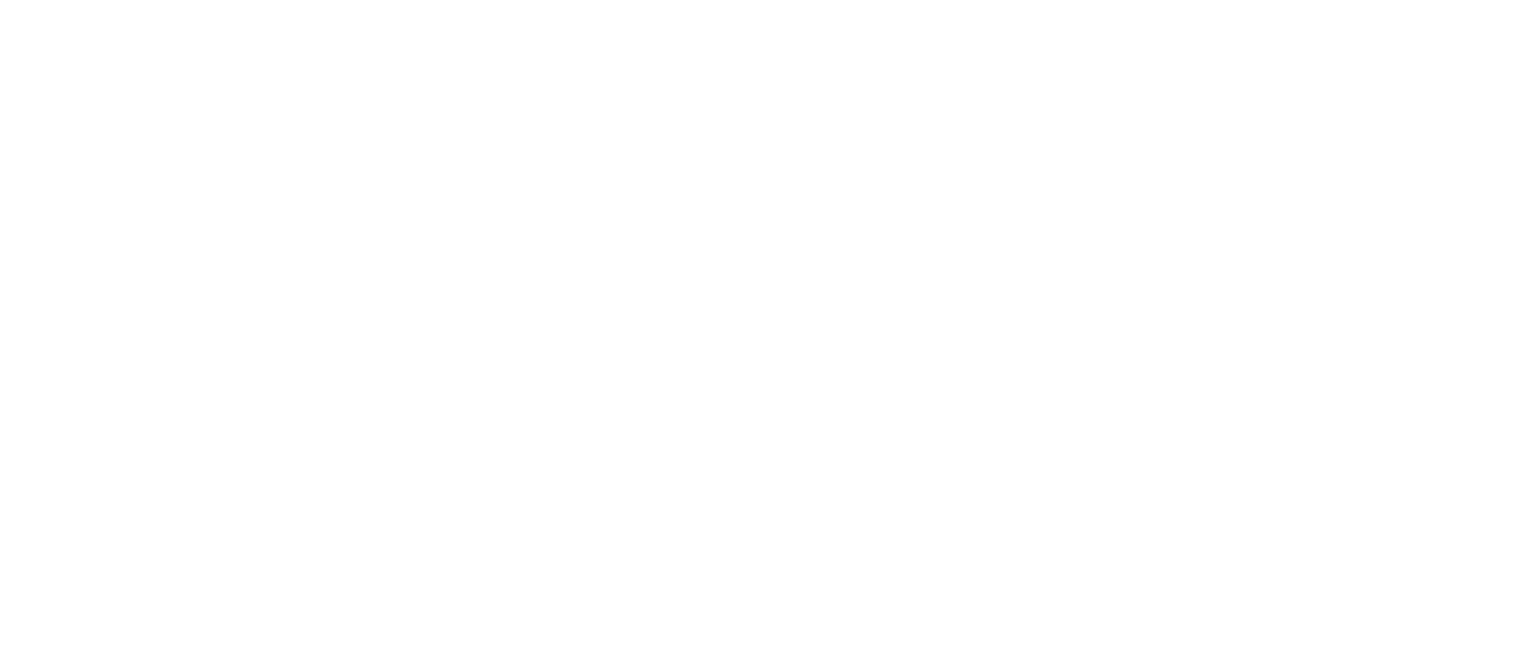 RenewaBULL Energy is a SOLARWATT Partner